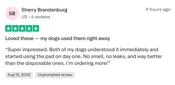 Customer review