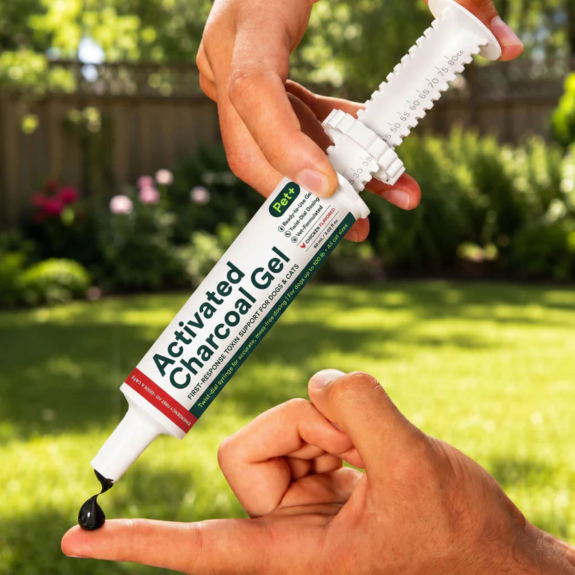 Pet+ Activated Charcoal Gel pre-dosed oral syringe and packaging