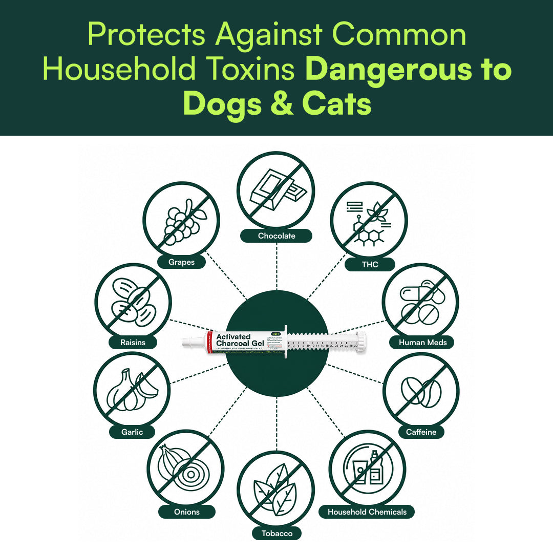 Infographic of the Pet+ Activated Charcoal Gel syringe ringed by common household items unsafe for dogs and cats — chocolate, grapes, onions, garlic, caffeine and household chemicals.