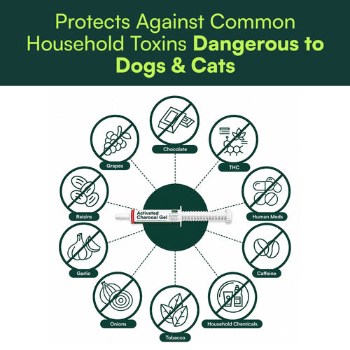 Infographic of the Pet+ Activated Charcoal Gel syringe ringed by common household items unsafe for dogs and cats — chocolate, grapes, onions, garlic, caffeine and household chemicals.