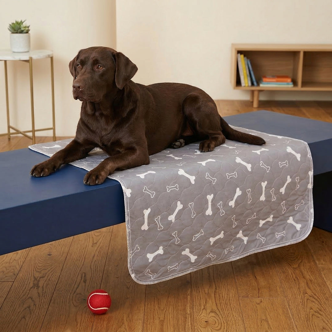 Pet+ Puppy Pad