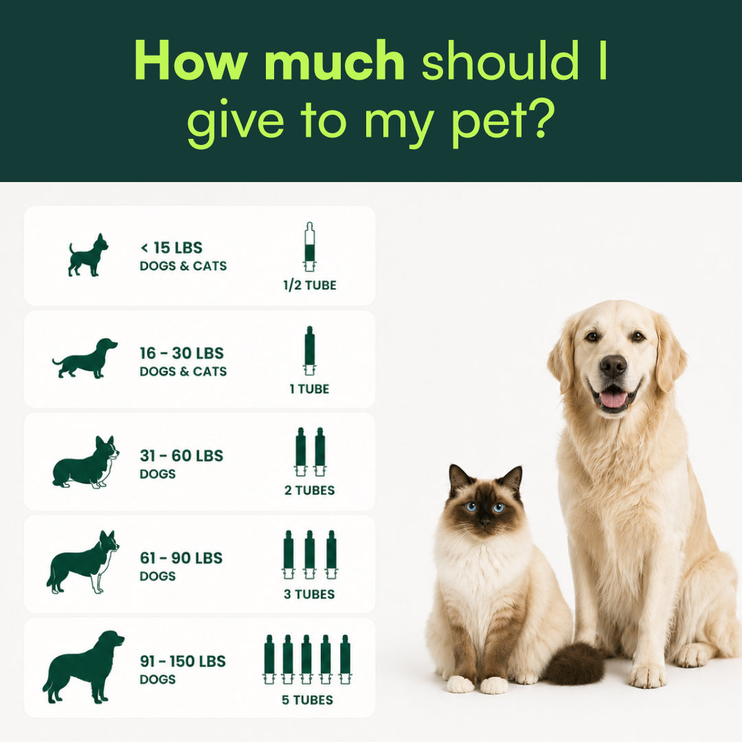 Dosing chart showing how many tubes of Pet+ Activated Charcoal Gel to give by pet weight, beside a golden retriever and a ragdoll cat.