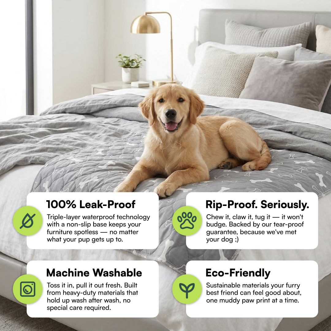 Pet+ Puppy Pad