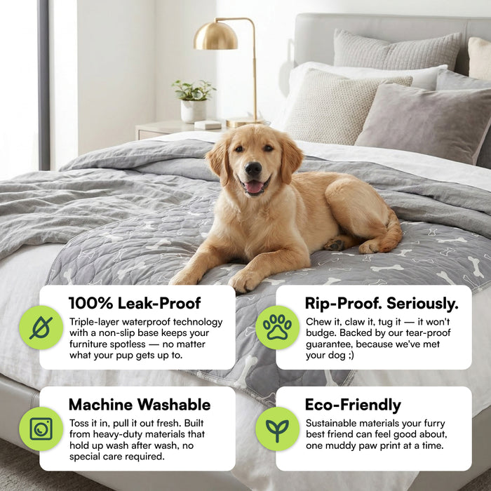 Pet+ Puppy Pad