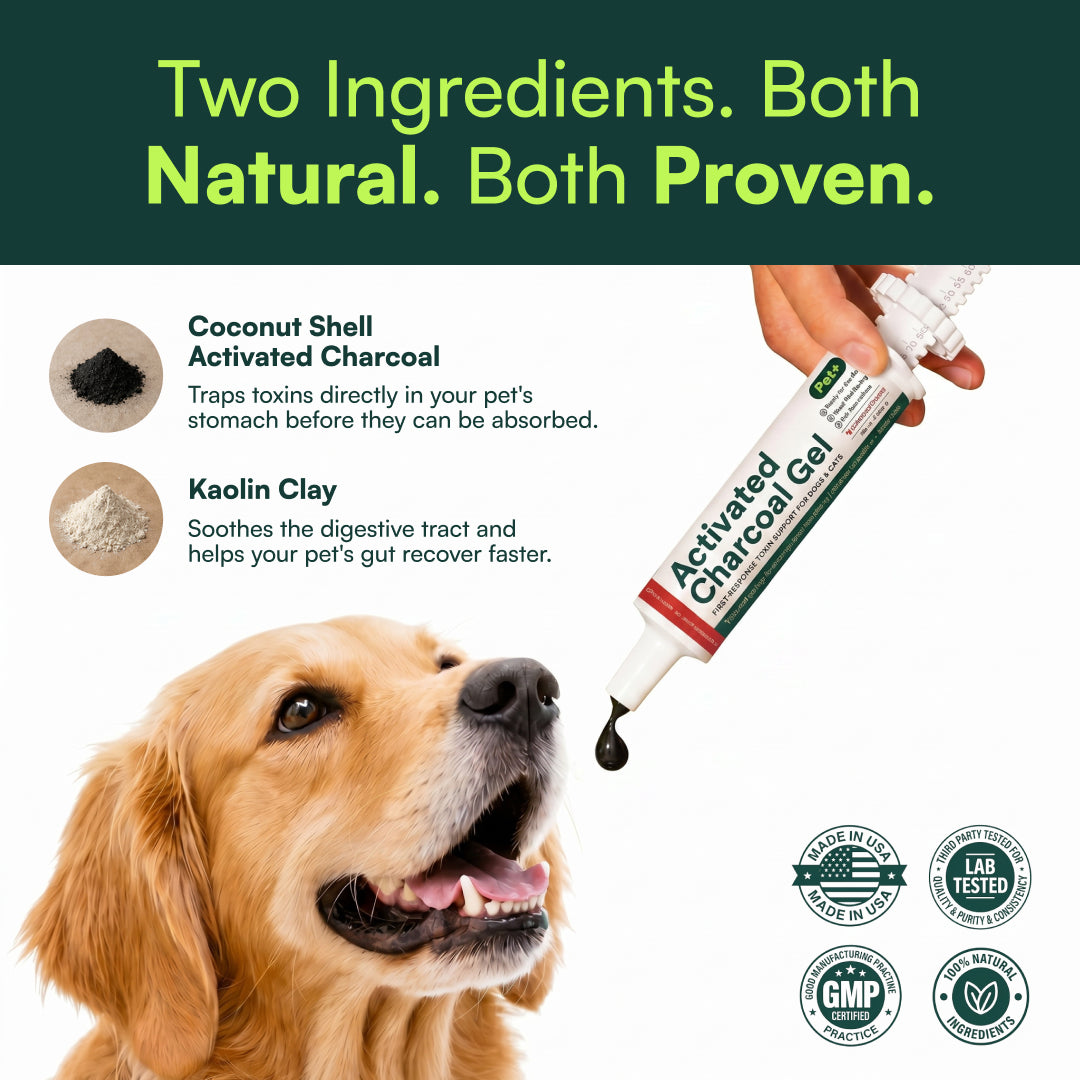 Pet+ Activated Charcoal Gel ingredients — coconut shell activated charcoal and kaolin clay — shown with a golden retriever and Made in USA, lab-tested and GMP badges.