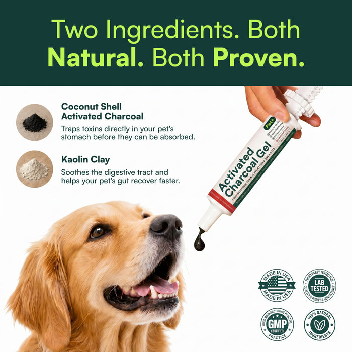 Pet+ Activated Charcoal Gel ingredients — coconut shell activated charcoal and kaolin clay — shown with a golden retriever and Made in USA, lab-tested and GMP badges.