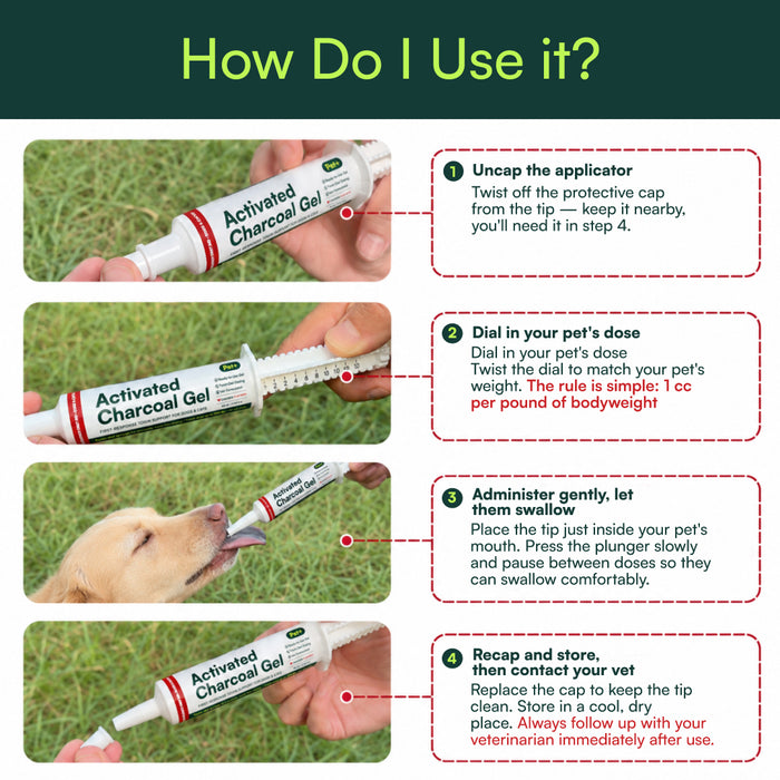 Four-step guide to using the Pet+ Activated Charcoal Gel twist-dial syringe on a dog: uncap, dial the dose, administer, then recap and contact your vet.