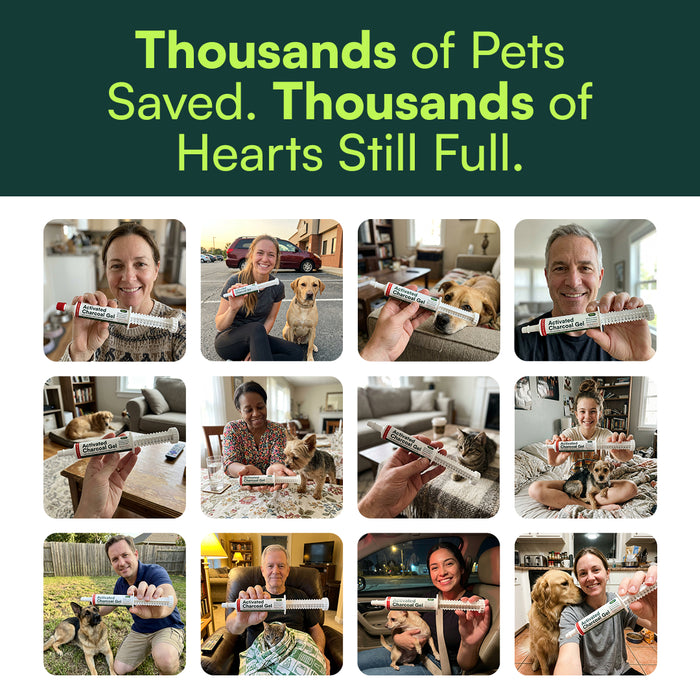Grid of pet parents at home holding Pet+ Activated Charcoal Gel with their dogs and cats.