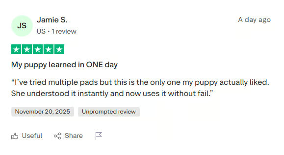 Customer review