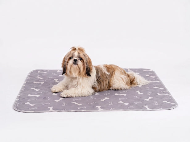 Pet+ Puppy Pad