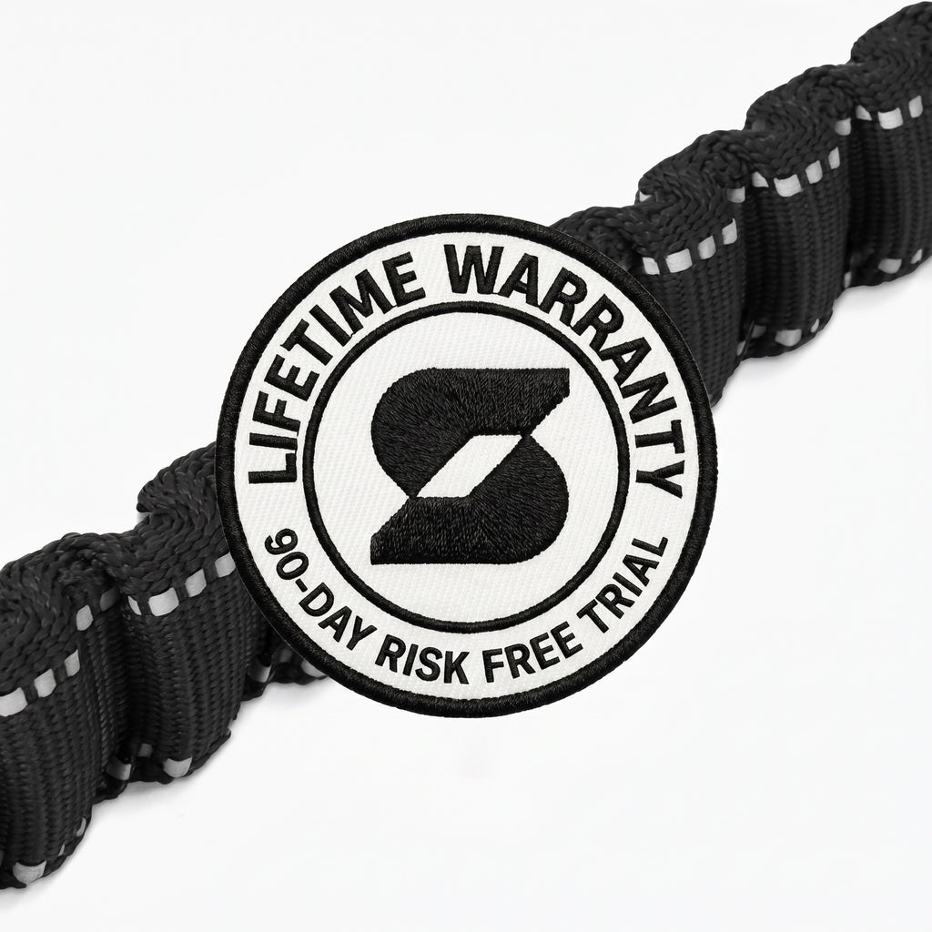 Pet+ Signature Bungee Leash