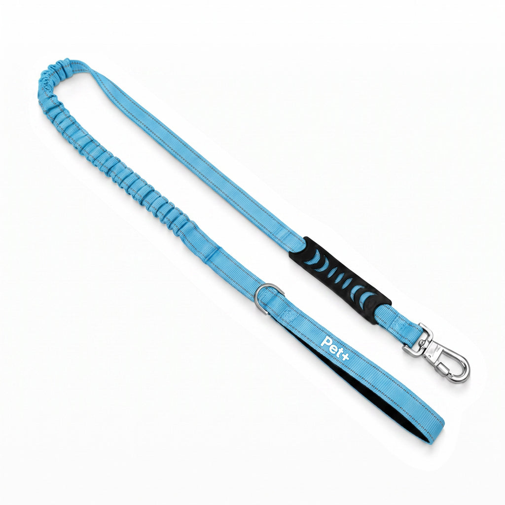 Pet+ Signature Bungee Leash