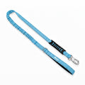 Pet+ Signature Bungee Leash