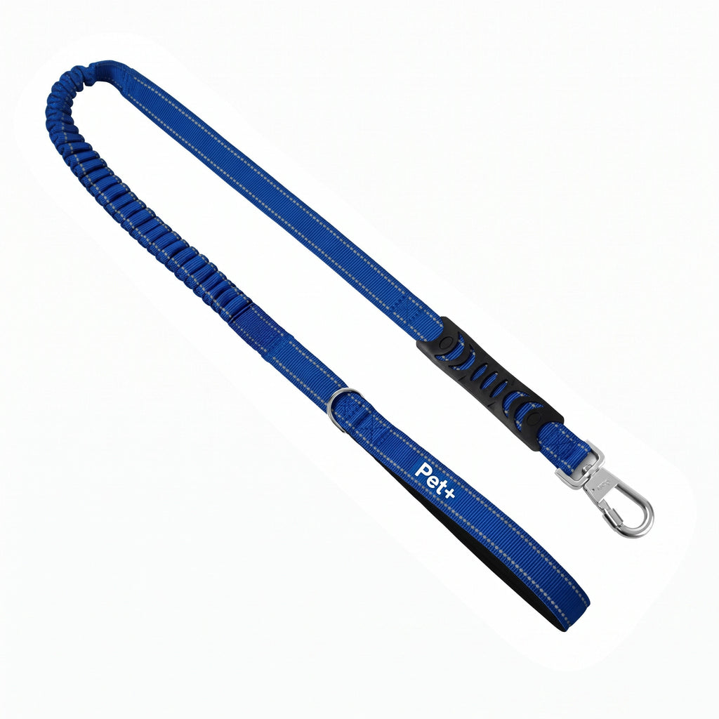 Pet+ Signature Bungee Leash