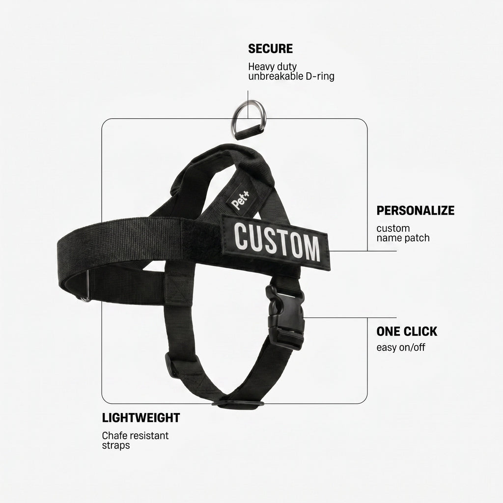 Personalized Dog Harness