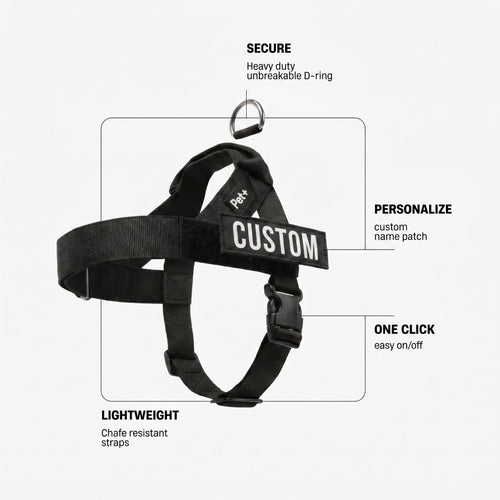Personalized Dog Harness