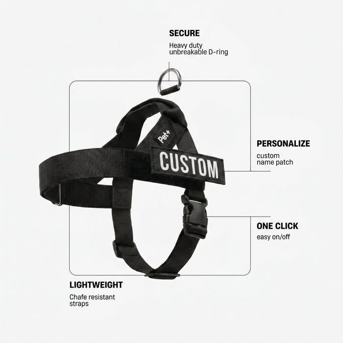 Personalized Dog Harness