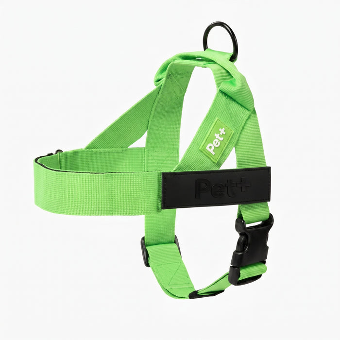 Personalized Dog Harness