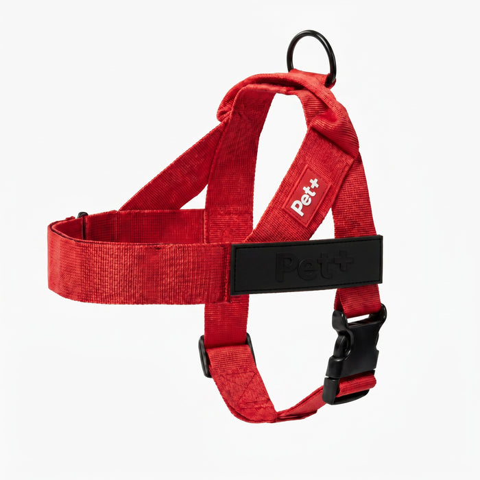 Personalized Dog Harness