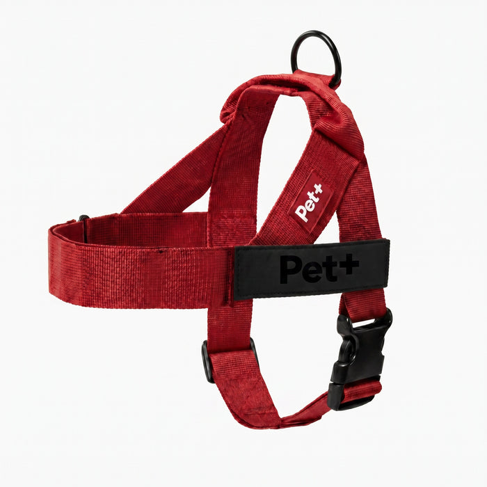 Personalized Dog Harness