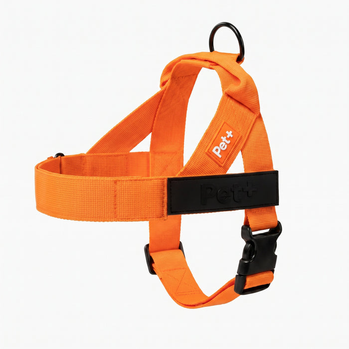 Personalized Dog Harness