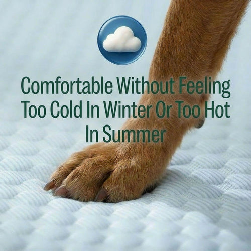 CozyBed - Instant Comfort, Long Lasting Joint Relief
