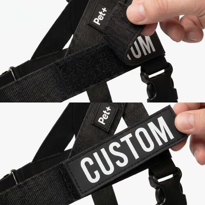 Personalized Dog Harness