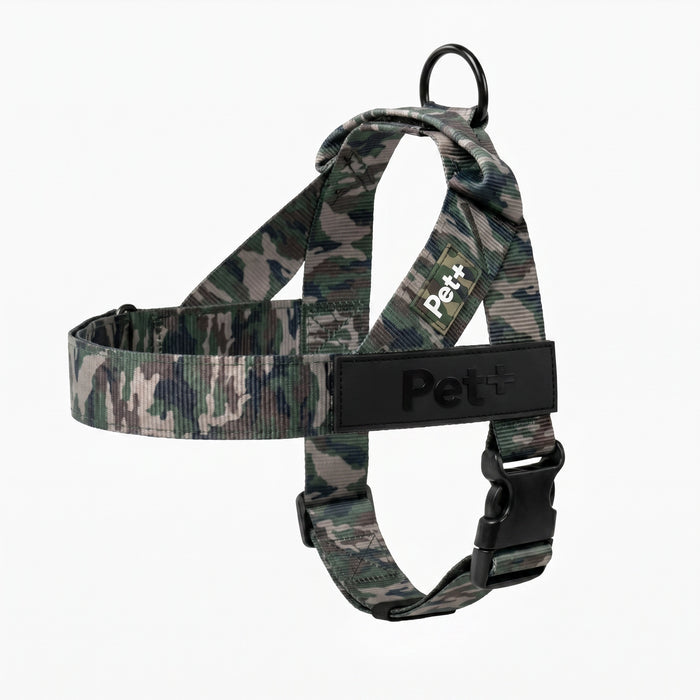 Personalized Dog Harness