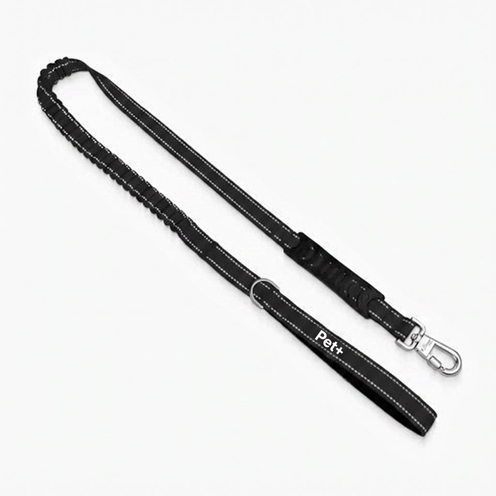 Pet+ Signature Bungee Leash