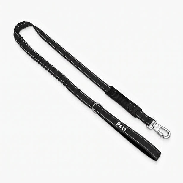 Pet+ Signature Bungee Leash