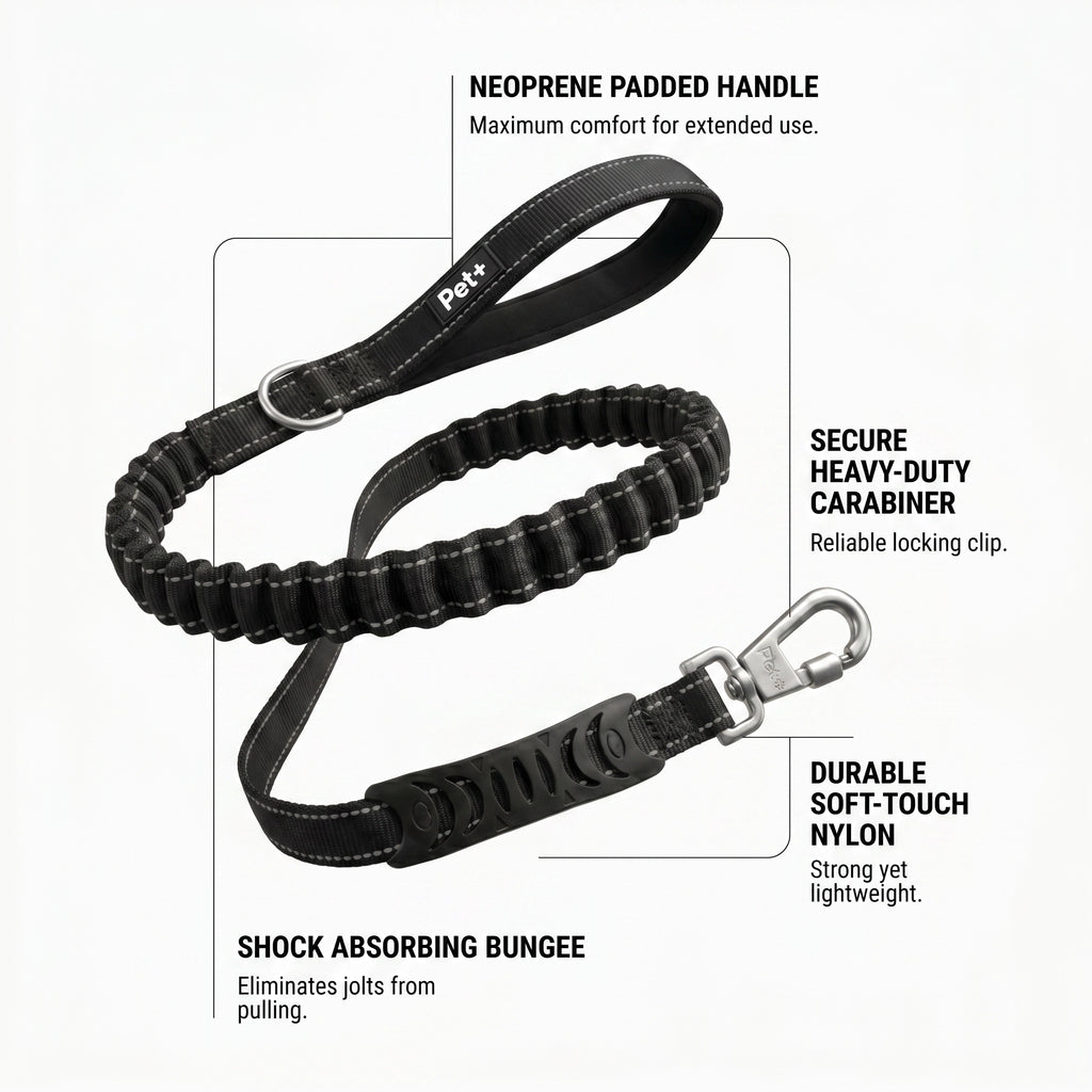 Pet+ Signature Bungee Leash