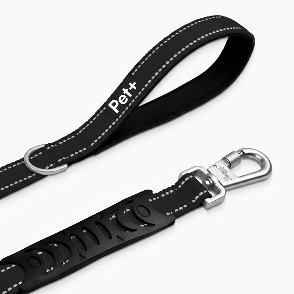 Pet+ Signature Bungee Leash