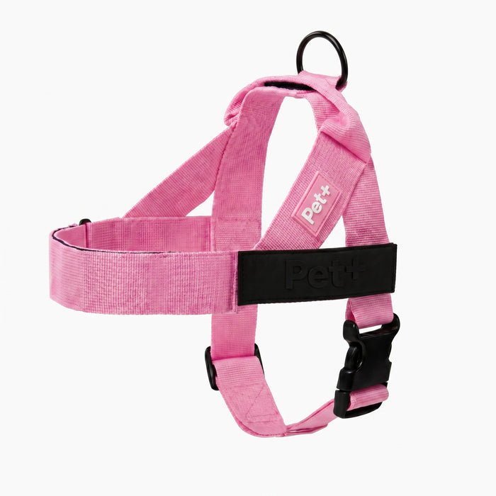 Personalized Dog Harness