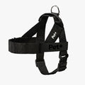 Personalized Dog Harness