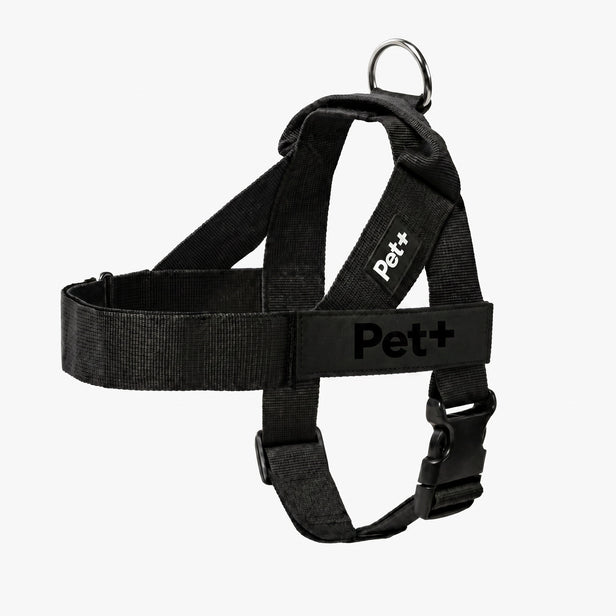 Personalized Dog Harness