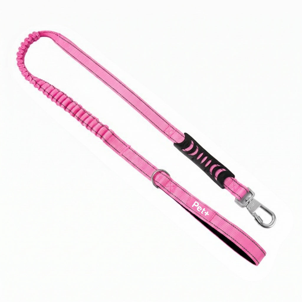 Pet+ Signature Bungee Leash
