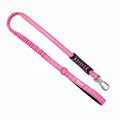 Pet+ Signature Bungee Leash