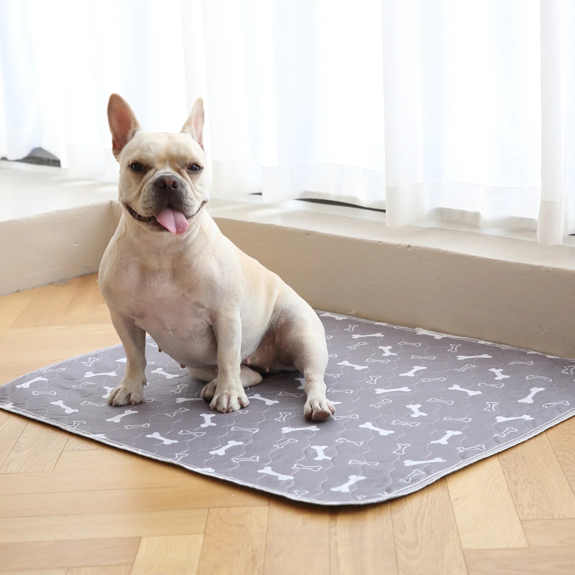 Pet+ Puppy Pad
