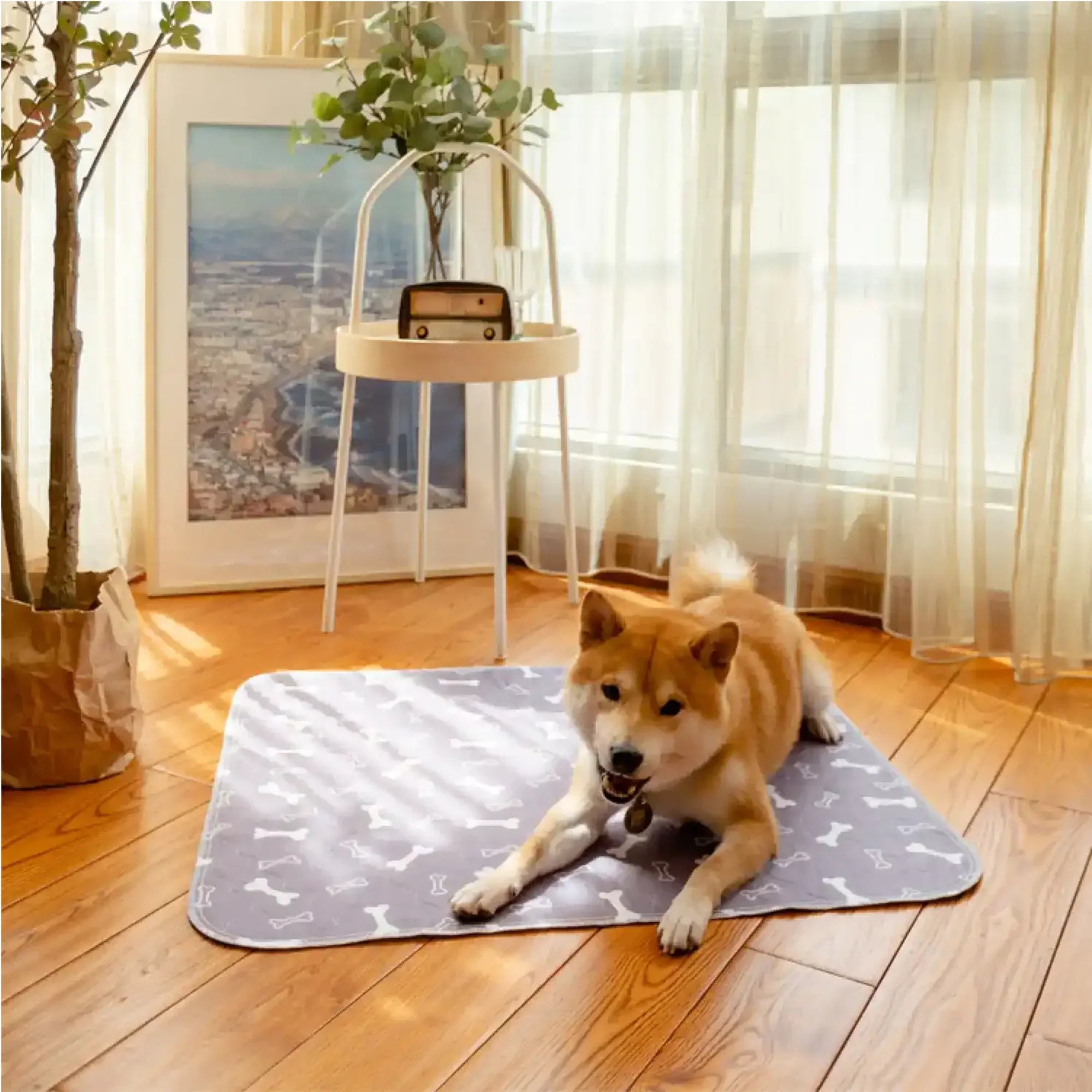 Pet+ Puppy Pad
