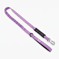 Pet+ Signature Bungee Leash