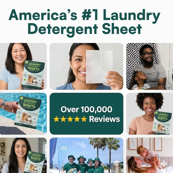 Pet+ laundry detergent sheets — plastic-free, pre-measured dissolving sheets for pet owners